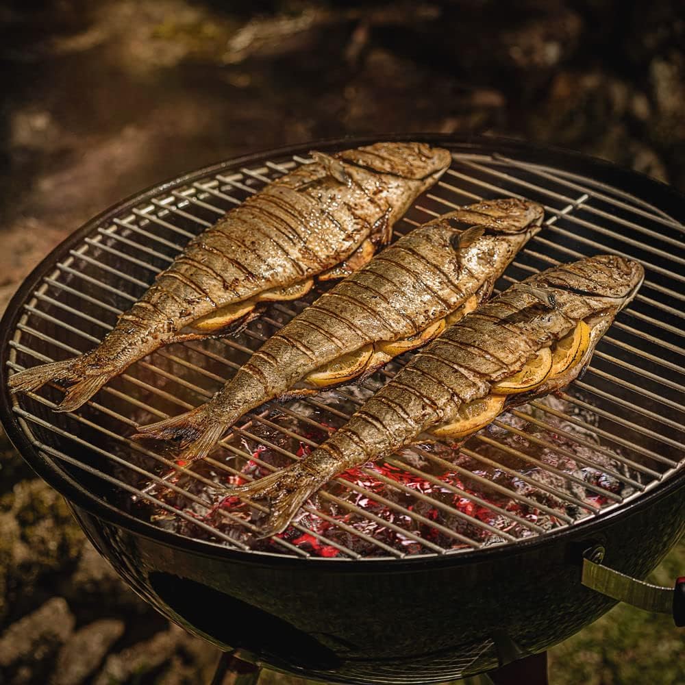 Tcp 56L Churrasqueira a Carvão Tramontina Preto - Elegante